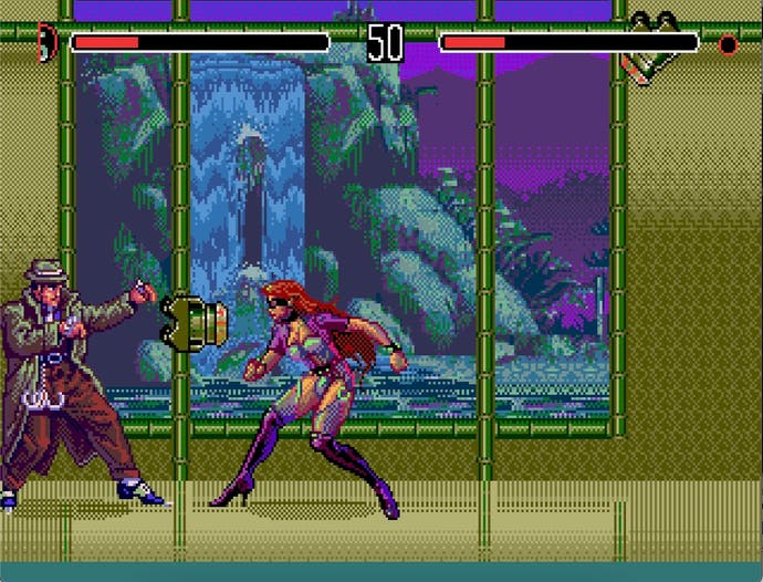 Screenshot von Eternal Champions - zwei Helden kämpfen vor einem Fenster, das einen Wasserfall zeigt.